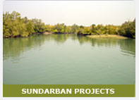 Sundarbon Project